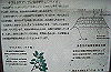 k28_191_thumb.png