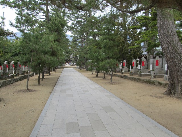 k282_005.jpg