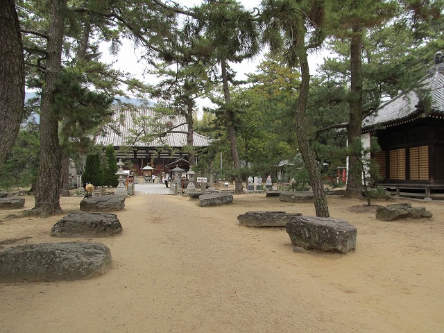 k282_006.jpg