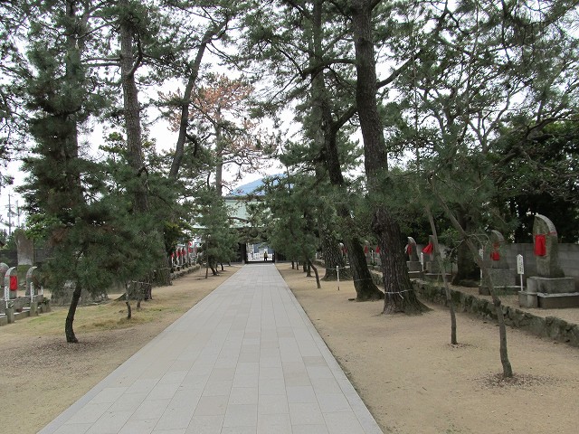 k282_011.jpg