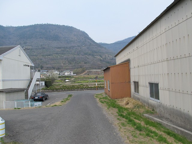k282_040.jpg