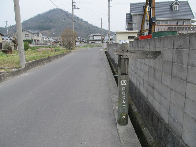 k282_041.jpg