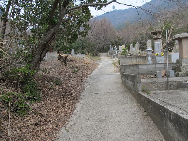 k282_054.jpg