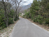 k282_058_thumb.png