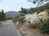 k282_059_thumb.png
