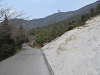 k282_060_thumb.png