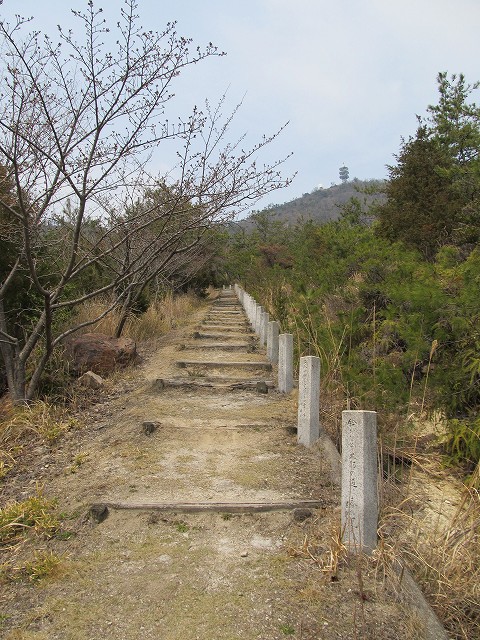 k282_063.jpg