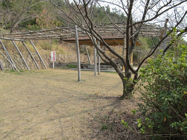 k282_064.jpg