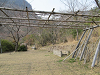 k282_065_thumb.png