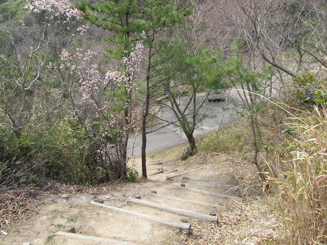 k282_066.jpg