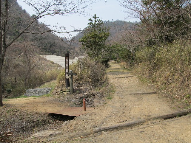 k282_069.jpg