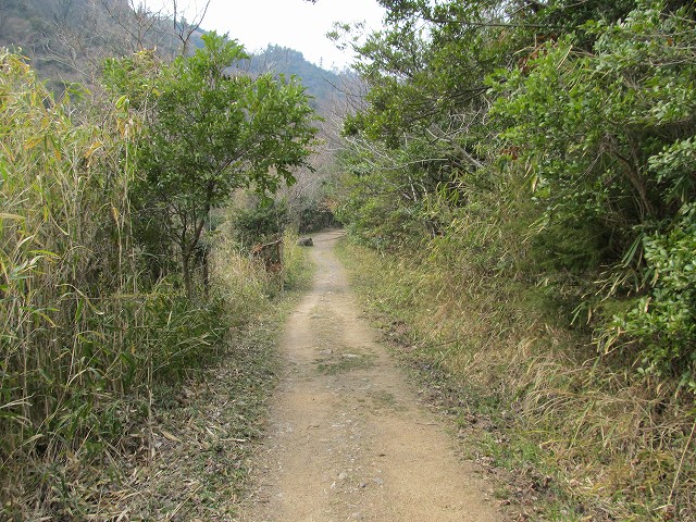 k282_081.jpg