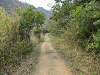 k282_081_thumb.png