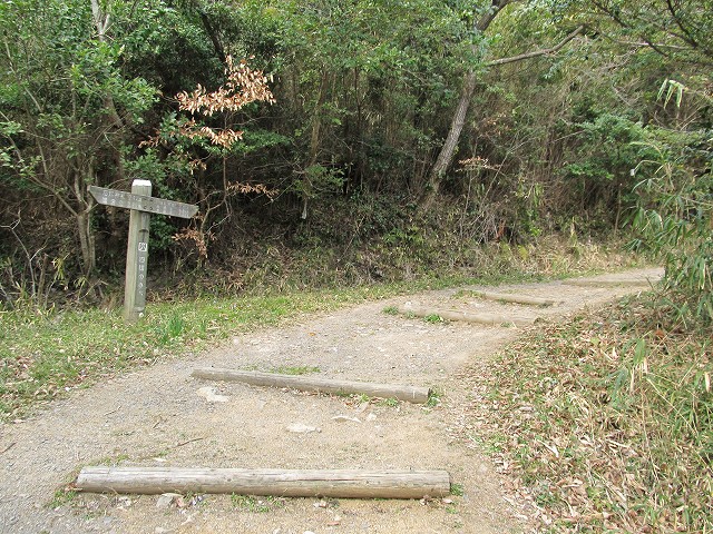 k282_083.jpg