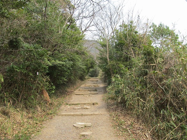 k282_084.jpg