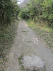 k282_085_thumb.png