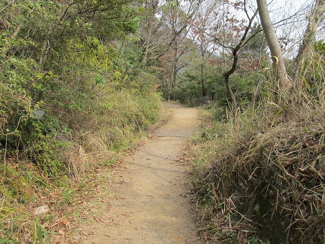 k282_088.jpg
