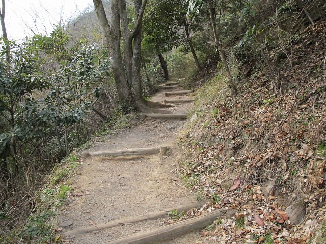 k282_098.jpg