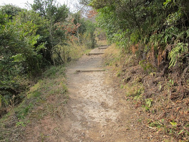 k282_102.jpg