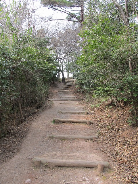 k282_107.jpg