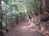 k282_116_thumb.png