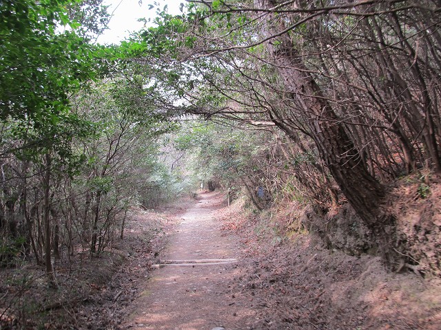 k282_117.jpg