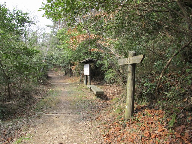 k282_118.jpg