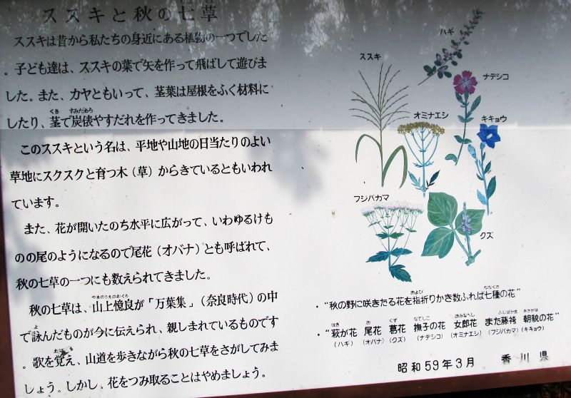 k282_119.jpg