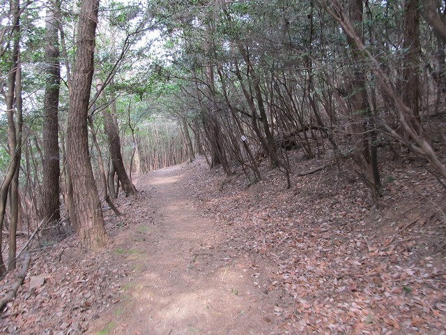 k282_124.jpg