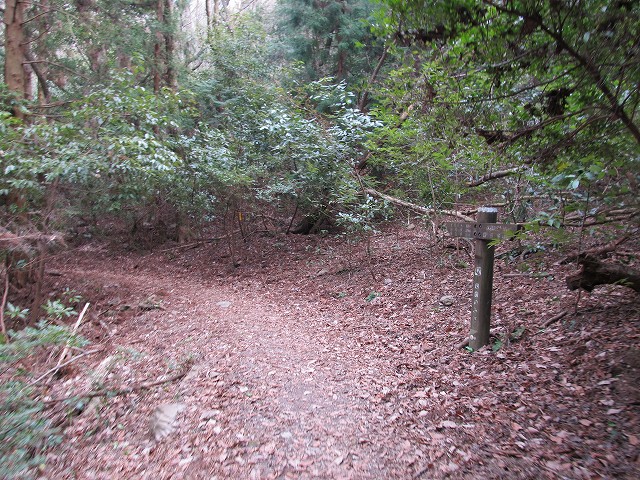 k282_125.jpg