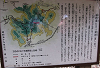k282_130_thumb.png