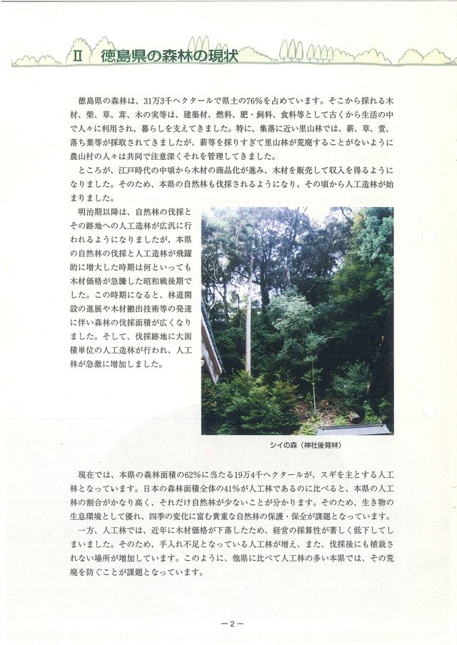 p04.jpg