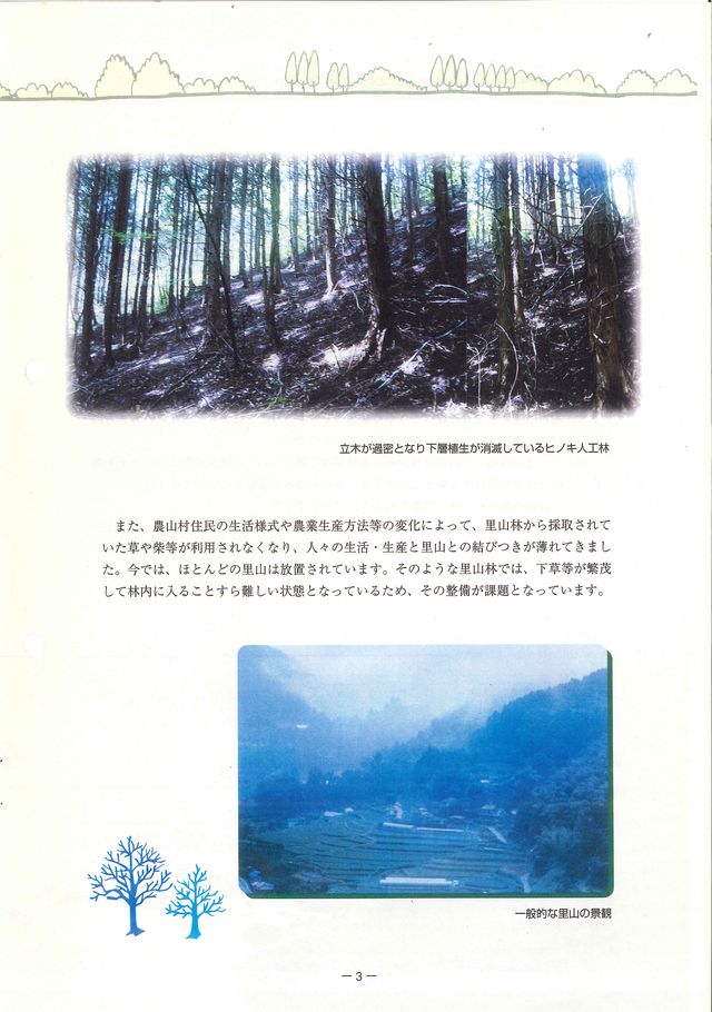 p05.jpg