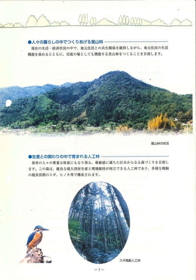 p09.jpg