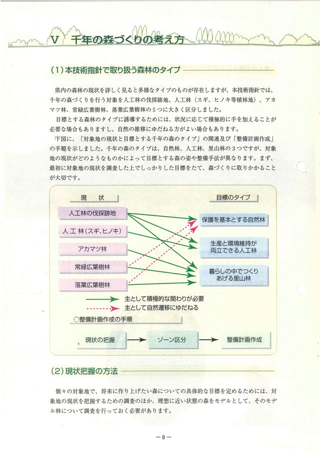 p10.jpg