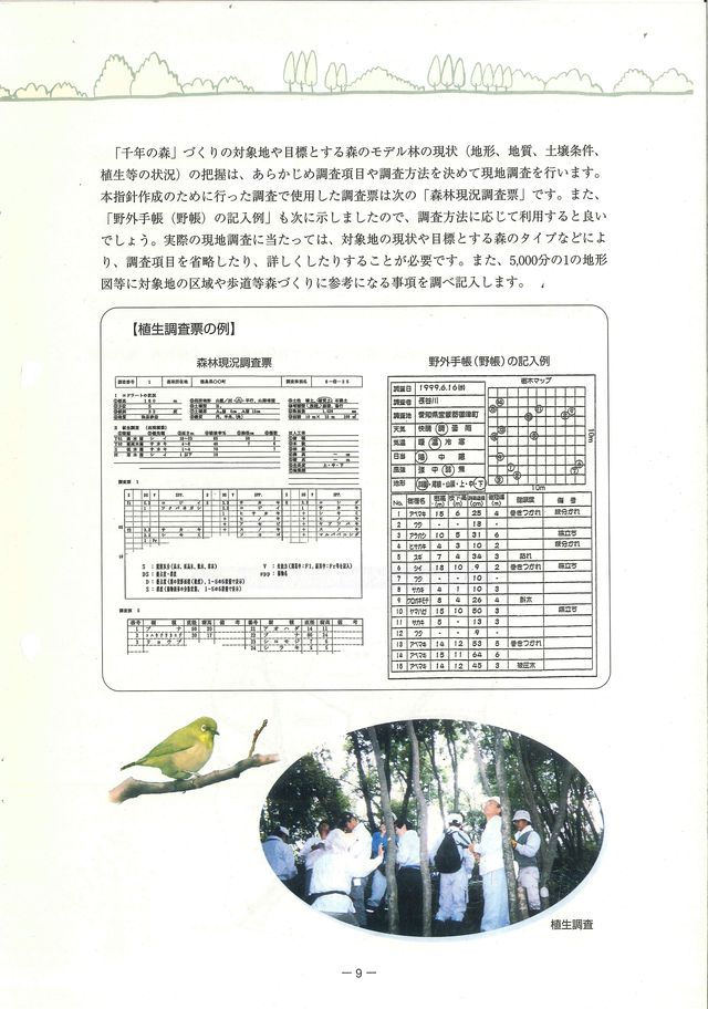 p11.jpg
