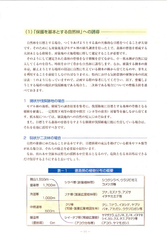 p13.jpg