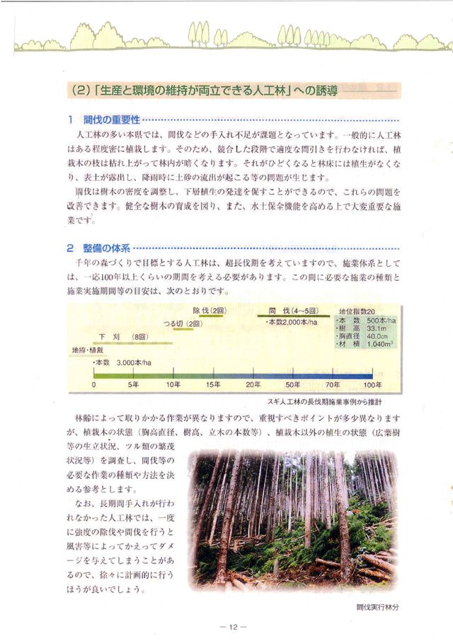p14.jpg