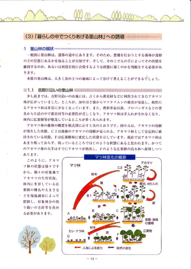 p15.jpg