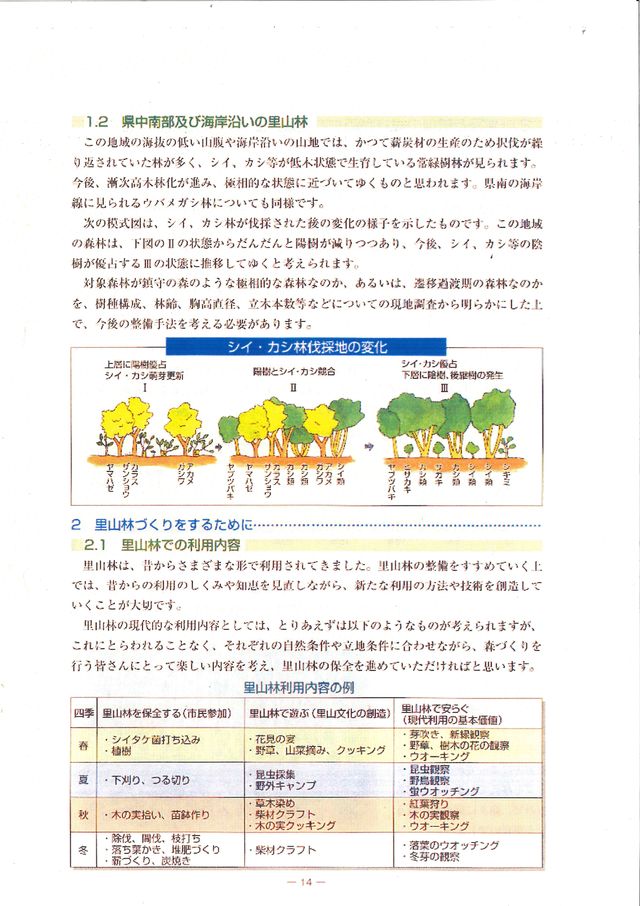 p16.jpg