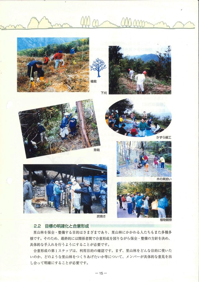 p17.jpg