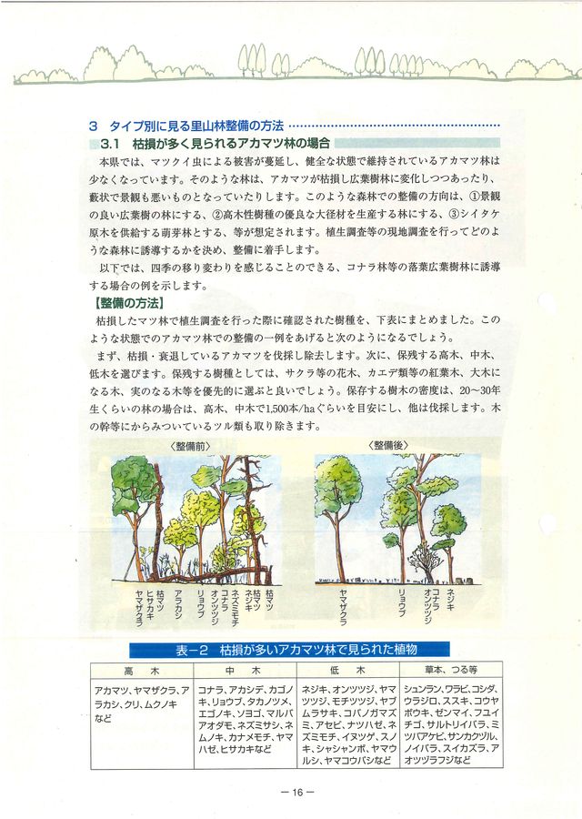 p18.jpg