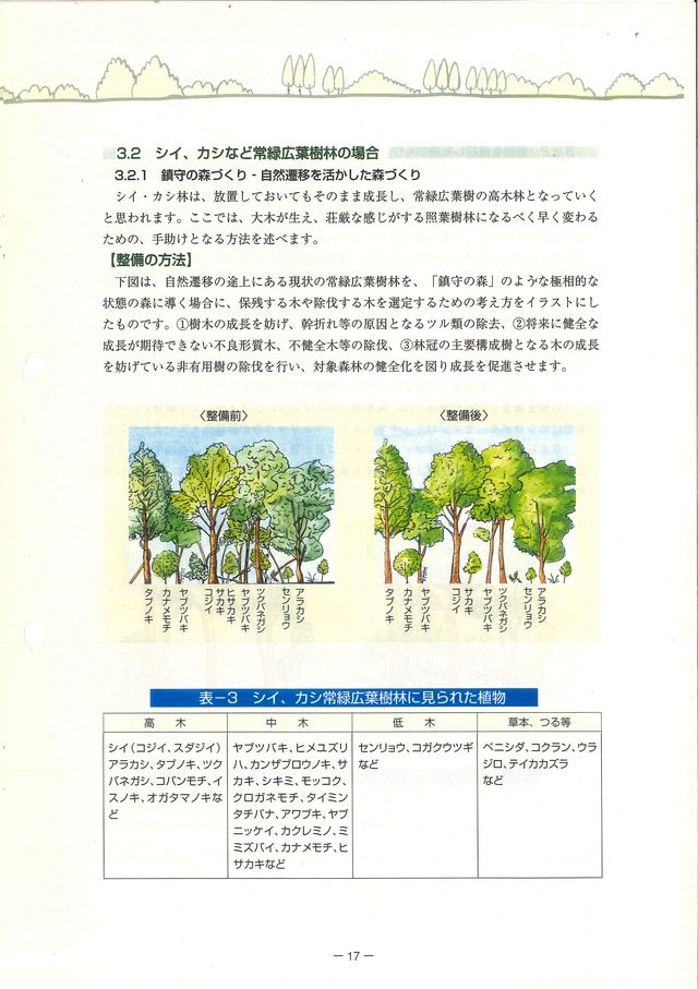p19.jpg