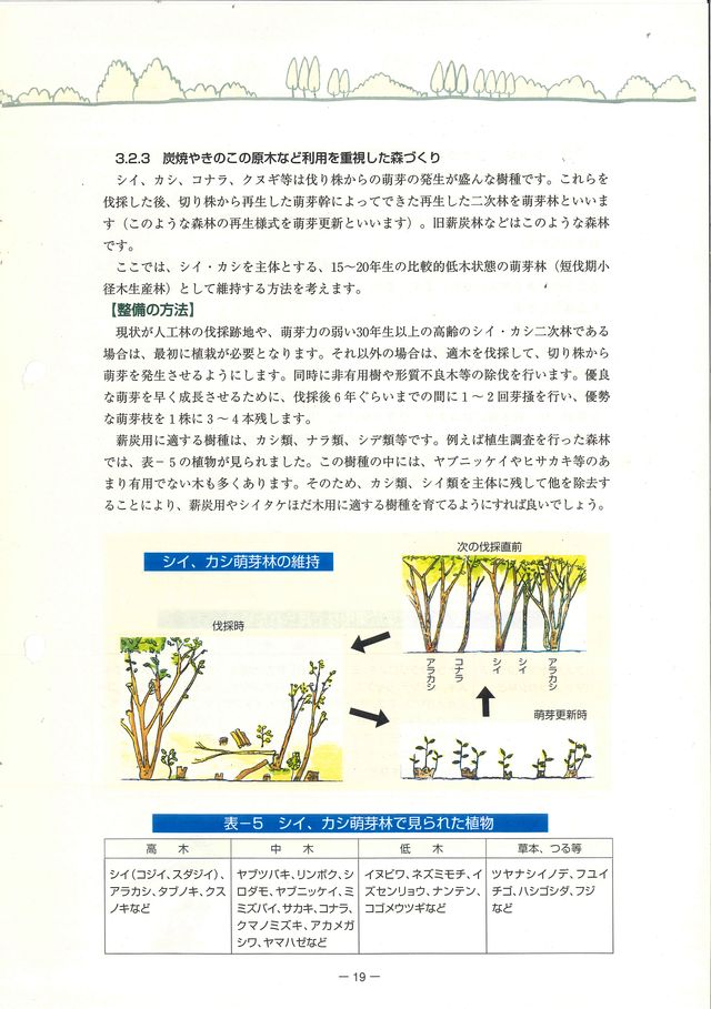 p21.jpg