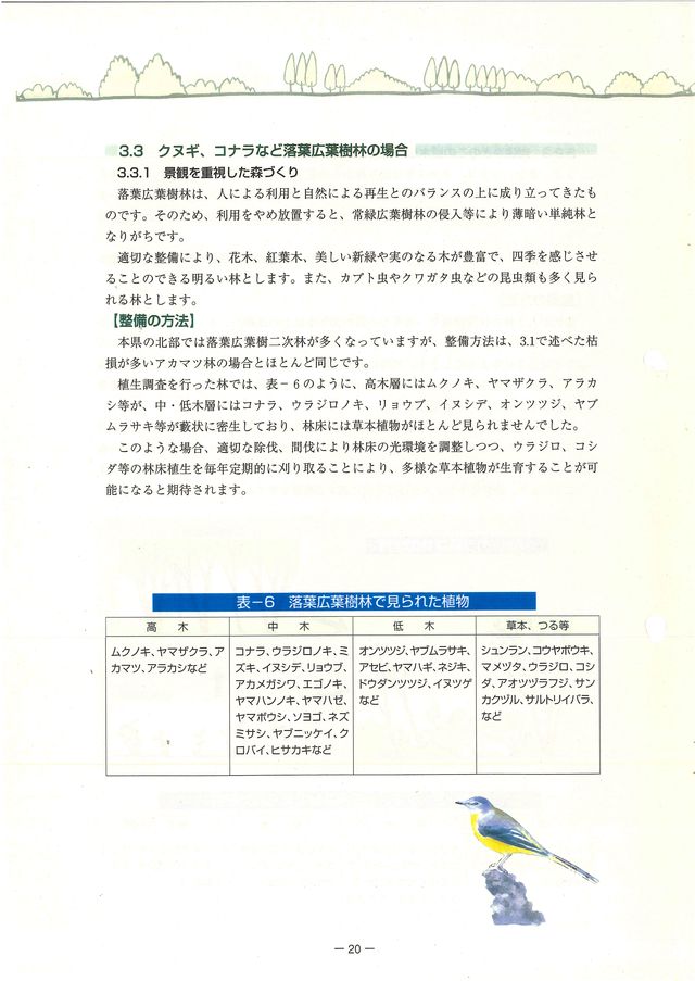 p22.jpg