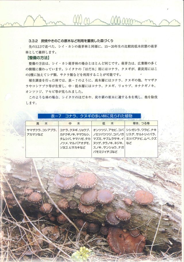 p23.jpg