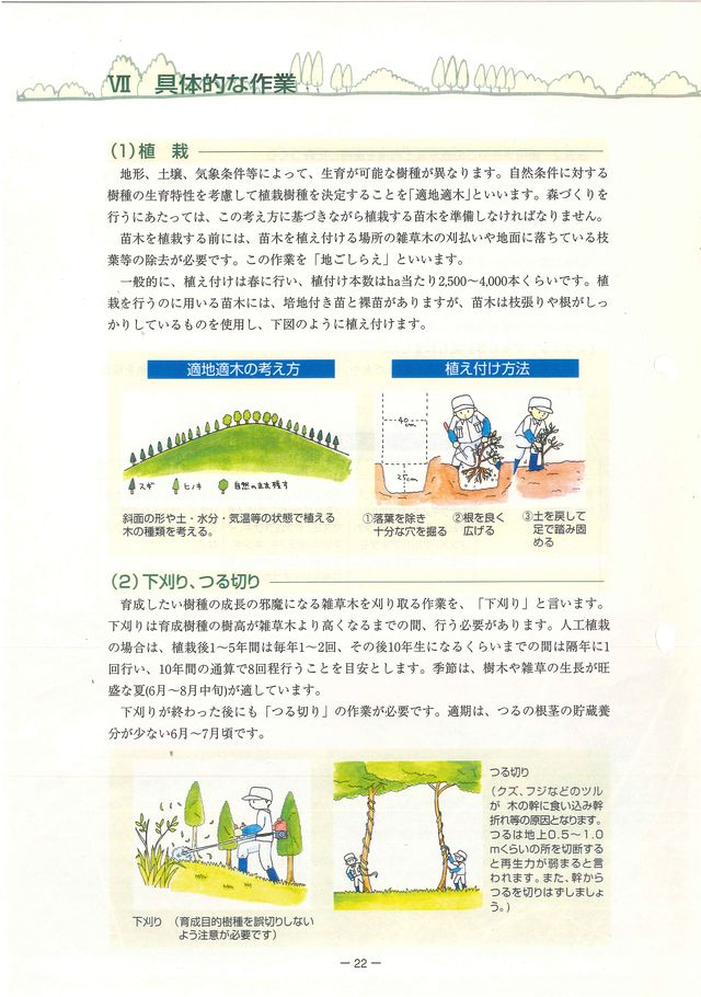p24.jpg