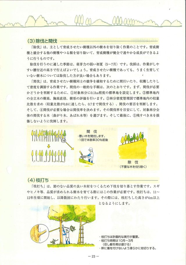 p25.jpg