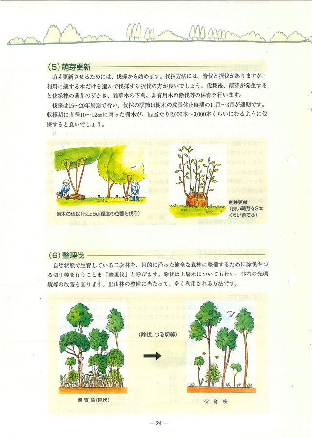 p26.jpg