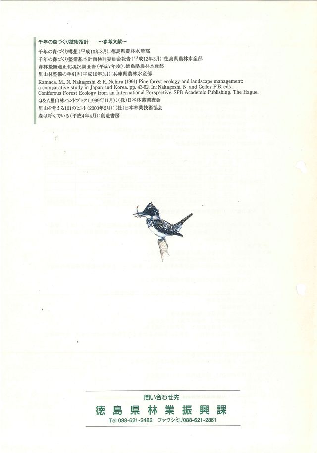 p28.jpg